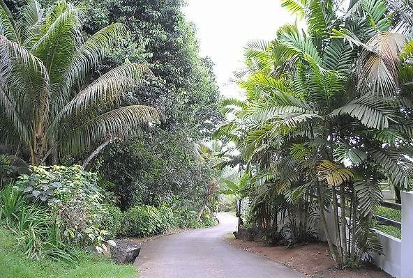 Alpstuga Kokogrove Anse Royale